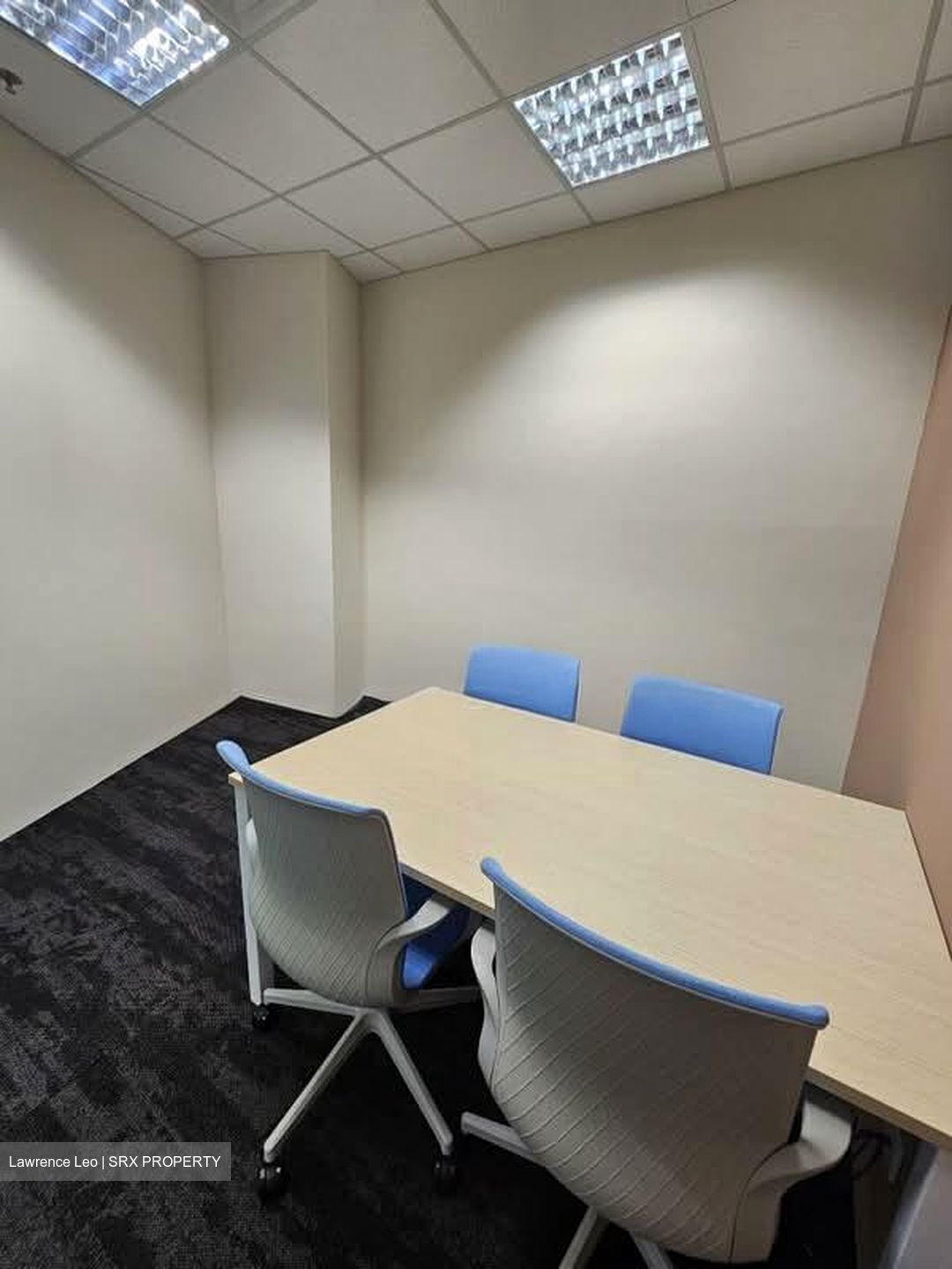 PLUS (D1), Office #559033921